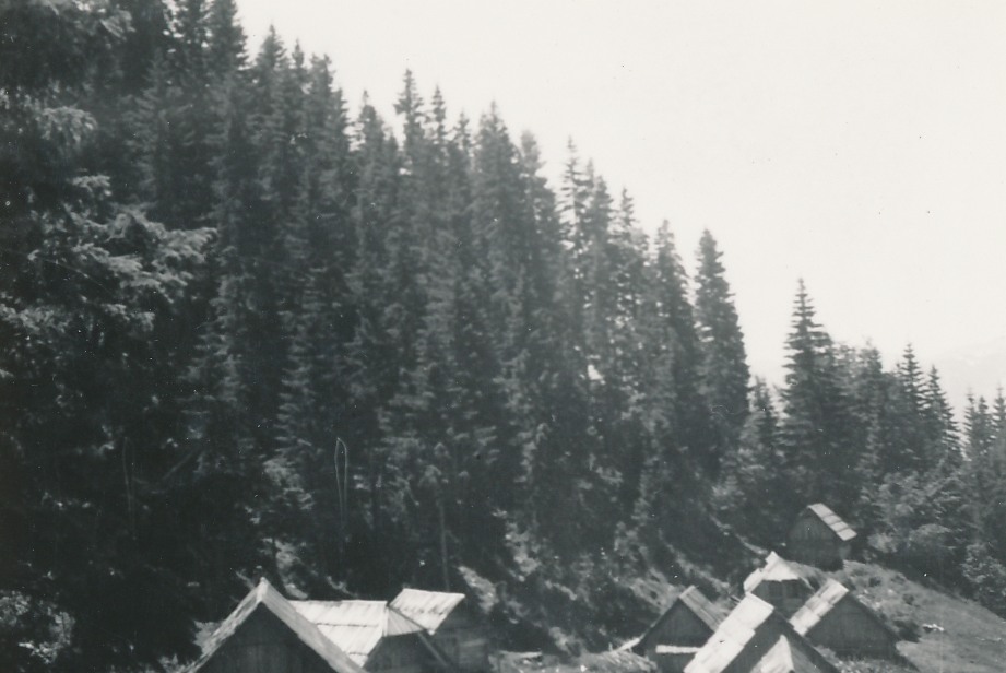 eika image